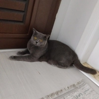 Çok tatlı..