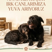 Anne-Kız..