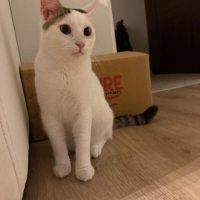 Oyuncu cana yakin sevimli