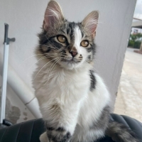 Adı minik..