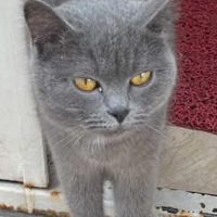 Çok sorma..