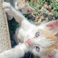 Çok uyanı..