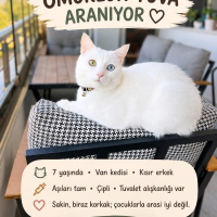 Yakışıklı..