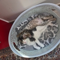 2 kardeş..