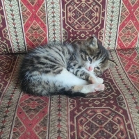 Yaklaşık..