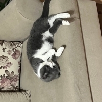 İnsan can..