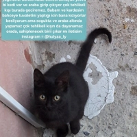Çokomel (..