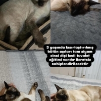 3 yaşında..