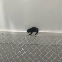 Kalbi güzel ailesi seni bekliyor. Bilinmeze gitmeden uzat elini