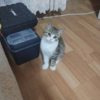 Çok tatlı..