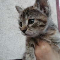 Çok tatlı..