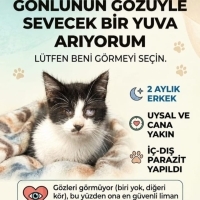 GORME ENG..
