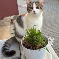 Kardeş ya..