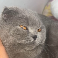 PAŞA ÖMÜR..