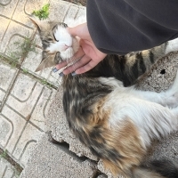 Bahçemizd..