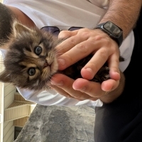 Avuç içi kadar bebeğimize yuva