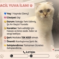 Ücretsiz..