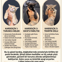 Ücretsiz..
