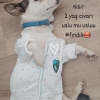 Temas bağ..