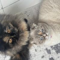 Mila ve l..