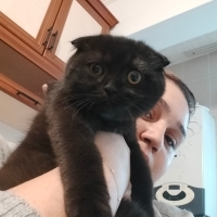 Salem ömü..