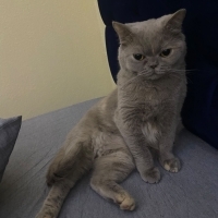Küçük tatli bir kız