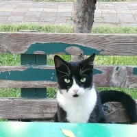 Sevgi bag..