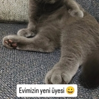Yeni Yuva..