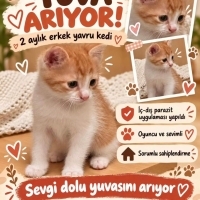 Bebeklere..
