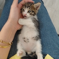 İki kardeş sevecen