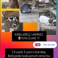 Kırklarel..
