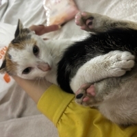 Sokağa gitmek istemiyorum bana aile olur musunuz?