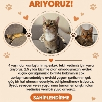 Ona daha..