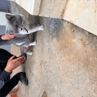 Uysal beb..