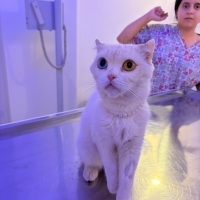 Cok  masum obur ve ilgi delisi bir kız ömürlük melegini arıyoruz