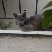 Soğukta y..