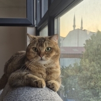 Oğluma yu..