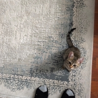 🌸 MİÇO (..