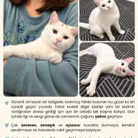 Peri Kızı..