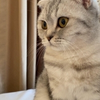 Tatlı kız..