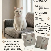 Sicak yuv..