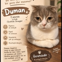 Duman içi..
