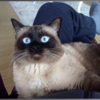 Kendi sağ..