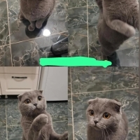3 YAŞINDA..