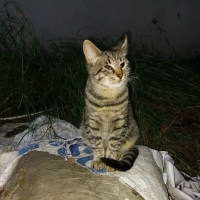 ONUN GÖZL..