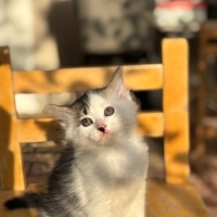 3 Aylık Ü..