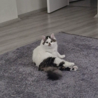 Çocuğumun..