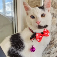 COCO'NUN..