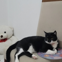 ÇOK ÜZÜLE..