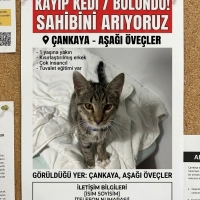 Ben kaybo..